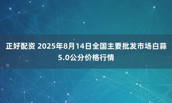 正好配资 2025年8月14日全国主要批发市场白蒜5.0公分价格行情