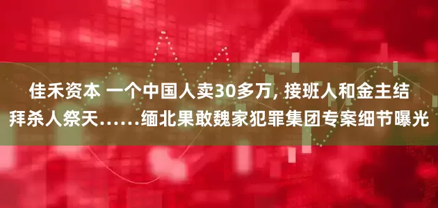 佳禾资本 一个中国人卖30多万, 接班人和金主结拜杀人祭天……缅北果敢魏家犯罪集团专案细节曝光